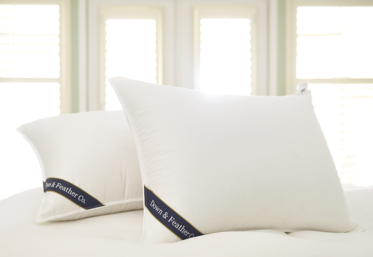 Snuggle Soft 850 Fill Power Goose Down Pillows