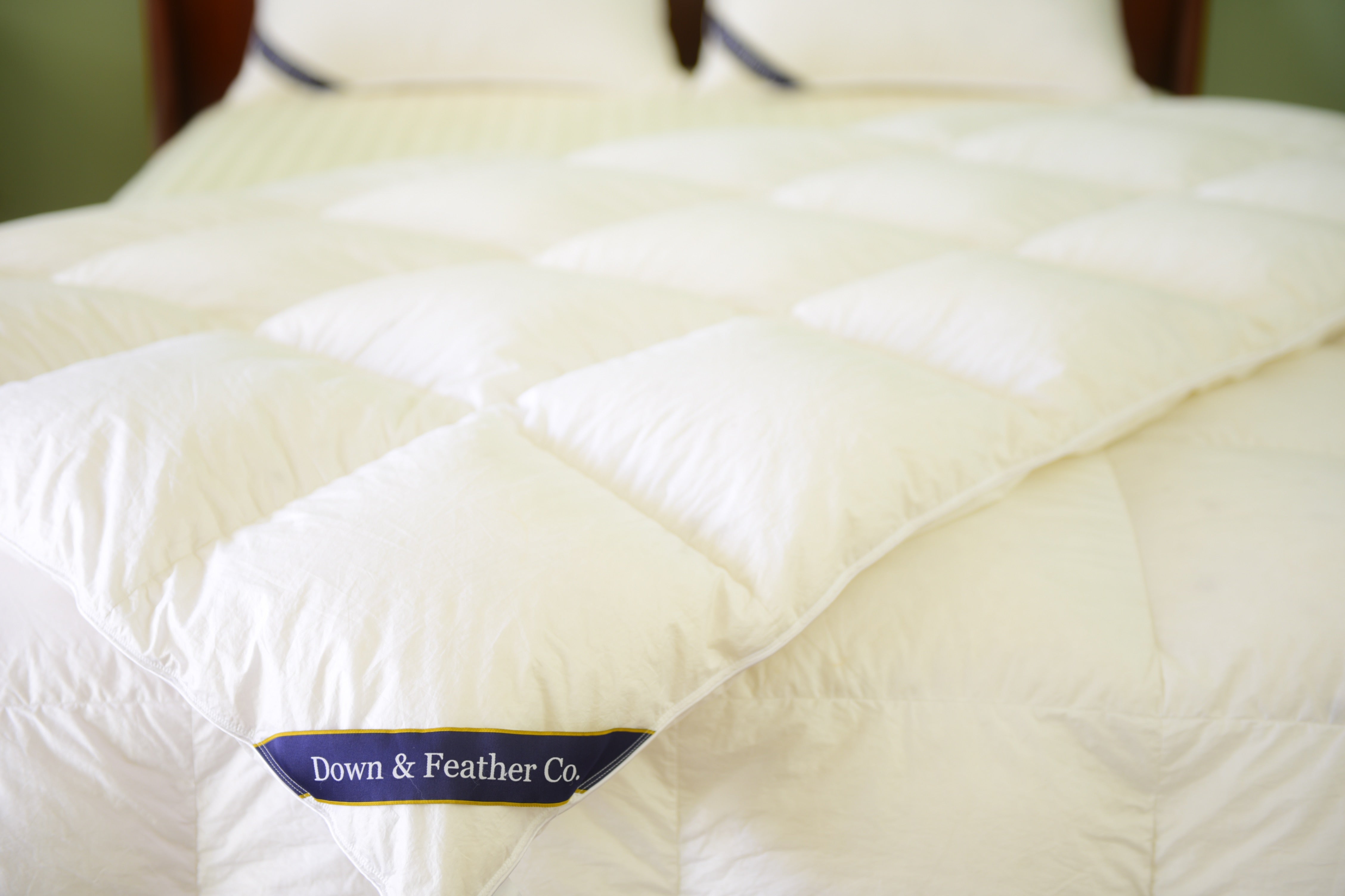 What makes a Down & Feather Co. down comforter so awesome? featured image