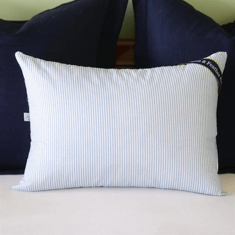 More than Throw Pillows with Blue & Co.