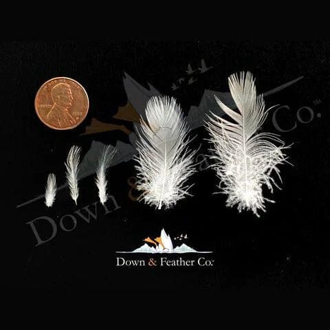 The Original Feather Pillows – Down & Feather Co.