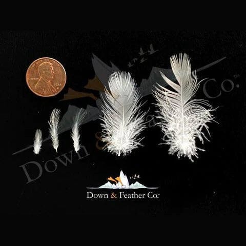 The Original Feather Pillow Standard Soft